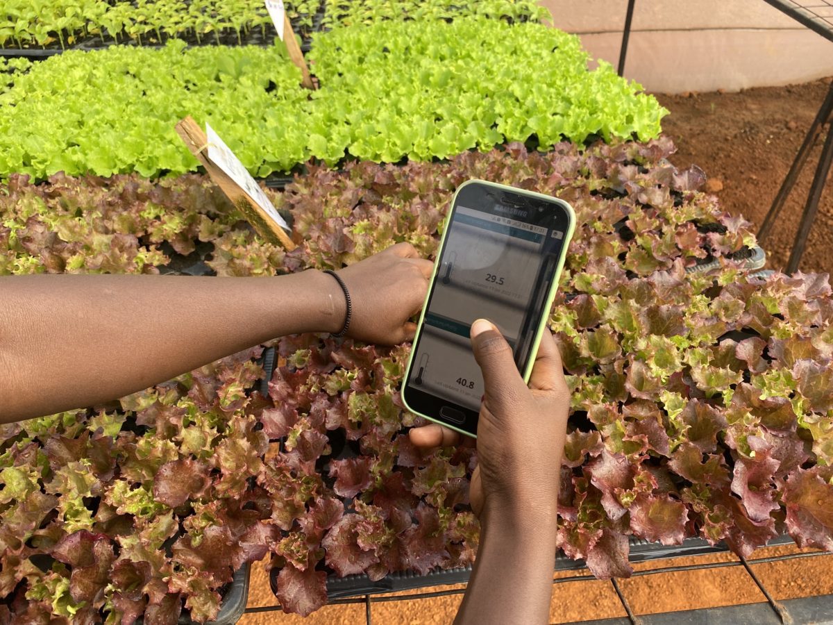 Organic Farm Seedling Nursery Monitoring > Kumva Insights